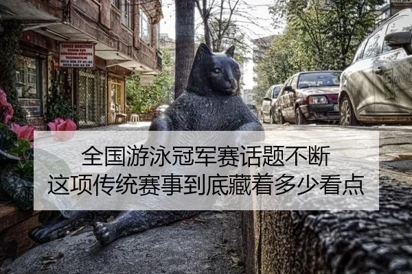 全国游泳冠军赛话题不断 这项传统赛事到底藏着多少看点